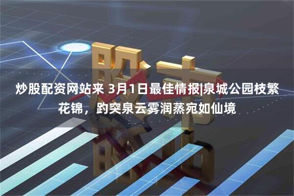 炒股配资网站来 3月1日最佳情报|泉城公园枝繁花锦，趵突泉云雾润蒸宛如仙境